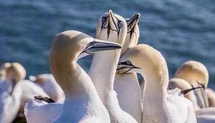 楚雄最新公积金卡提取现金方法app方法分析(最方便真实的楚雄公积金卡怎样从手机里取出来?方法)